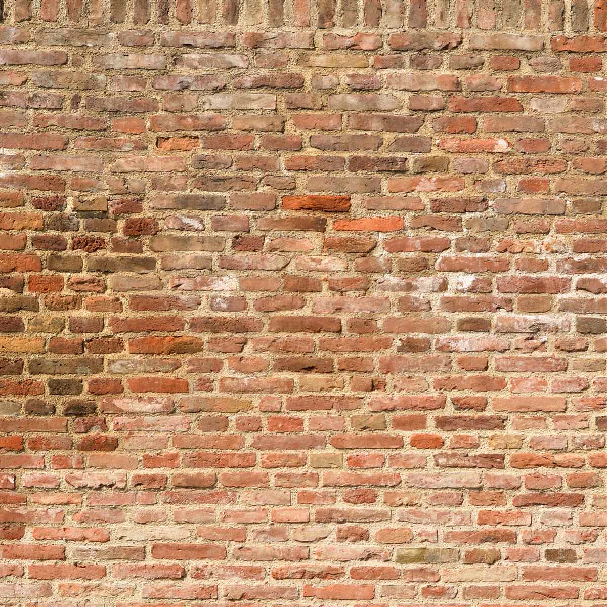 Fototapeta stary brązowy mur z cegły