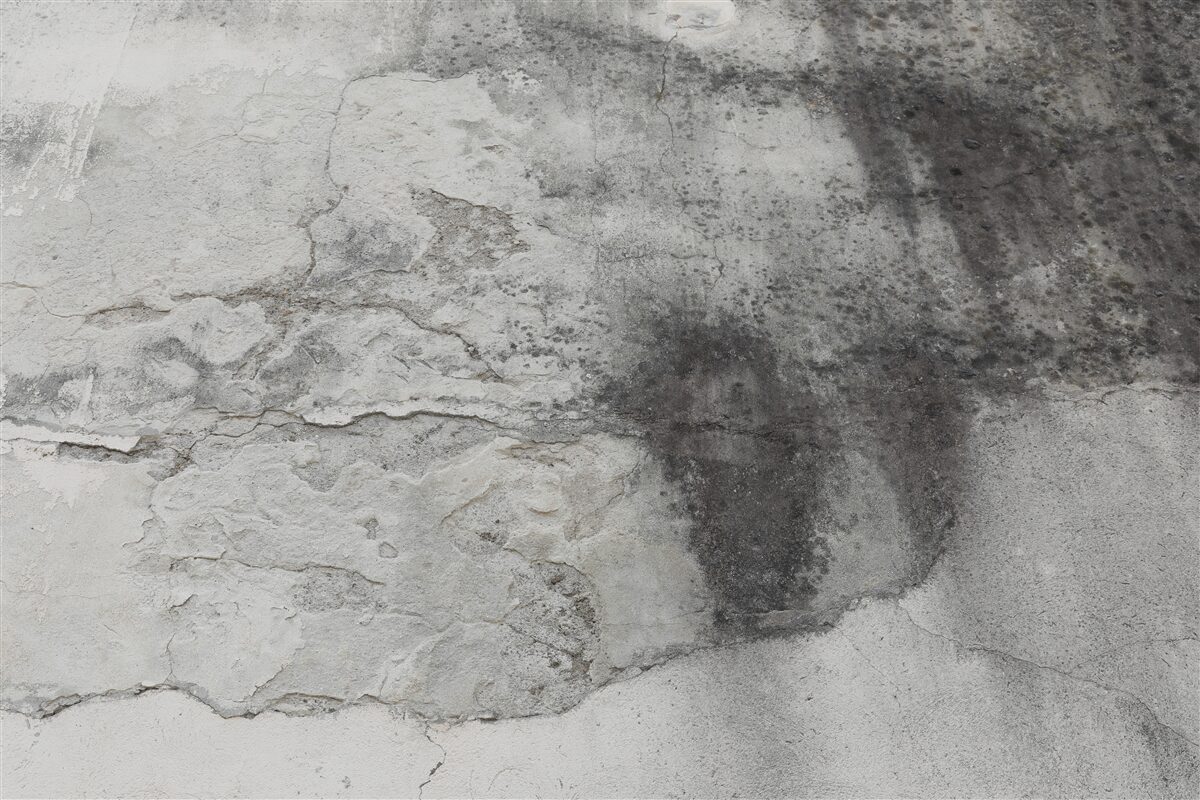 Fototapeta struktura w odcieniach popiołu