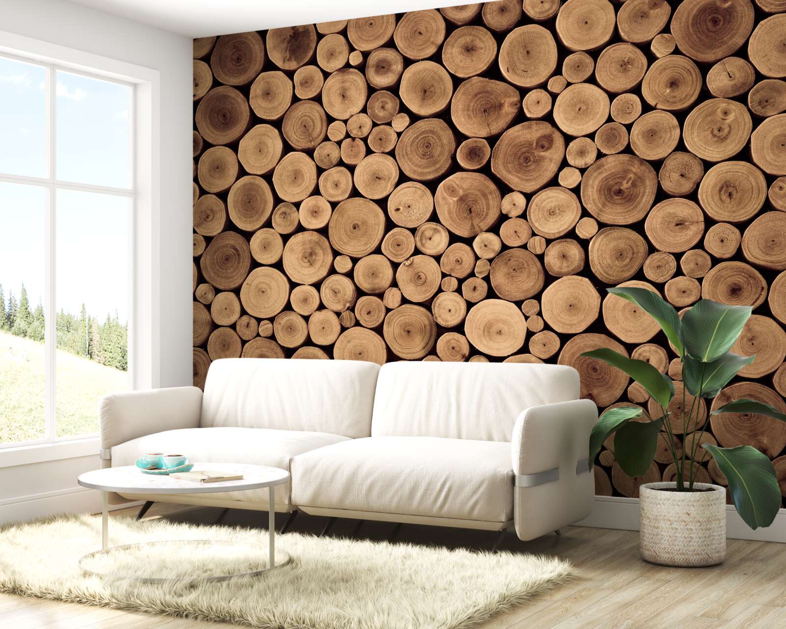 Fototapeta ostrożnie przytnij okrągłe pnie drzew