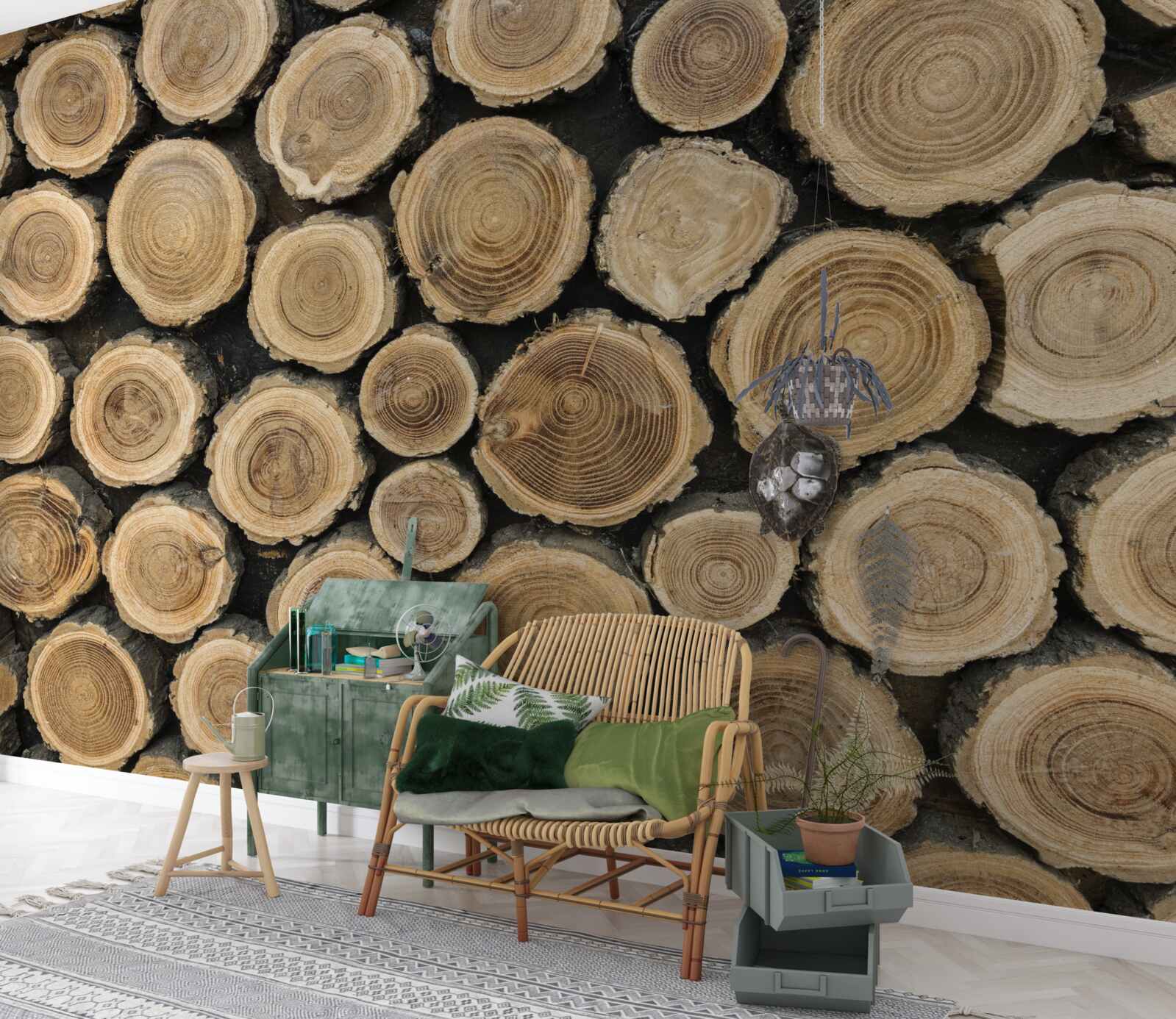 Fototapeta powalone drzewa w kształcie koła