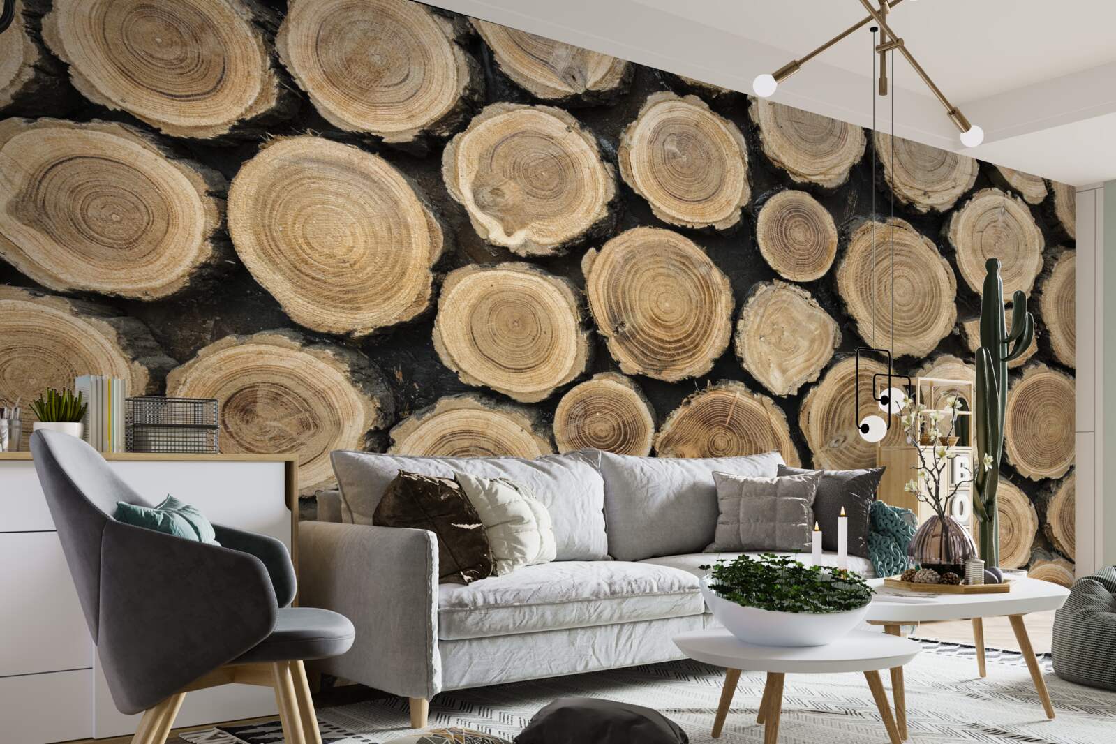 Fototapeta powalone drzewa w kształcie koła