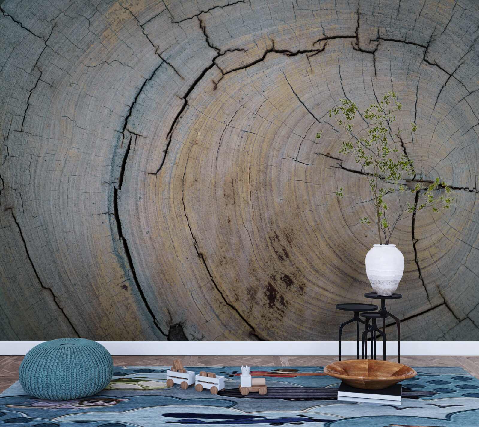 Fototapeta szczegółowy widok pnia drzewa