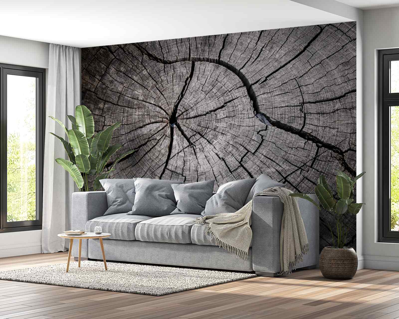 Fototapeta pęknięcia przebiegają przez stare drewno