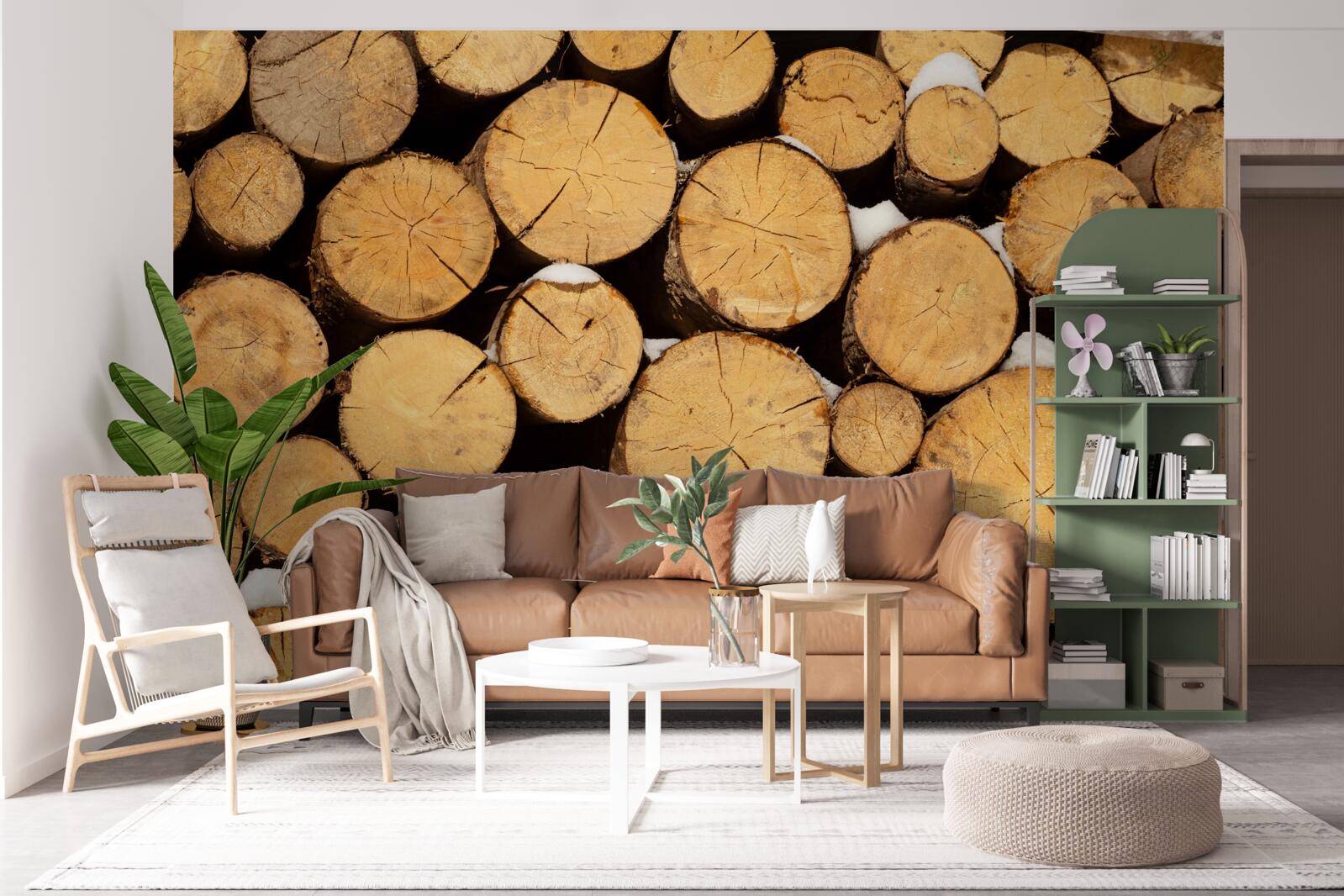 Fototapeta ostrożne wycinanie drzew