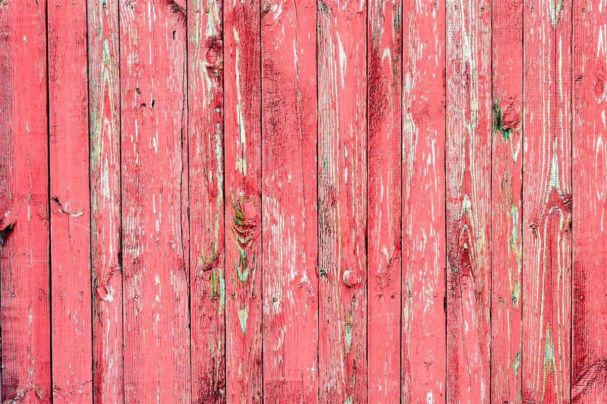 Fototapeta ogrodzenie pomalowane na różowo