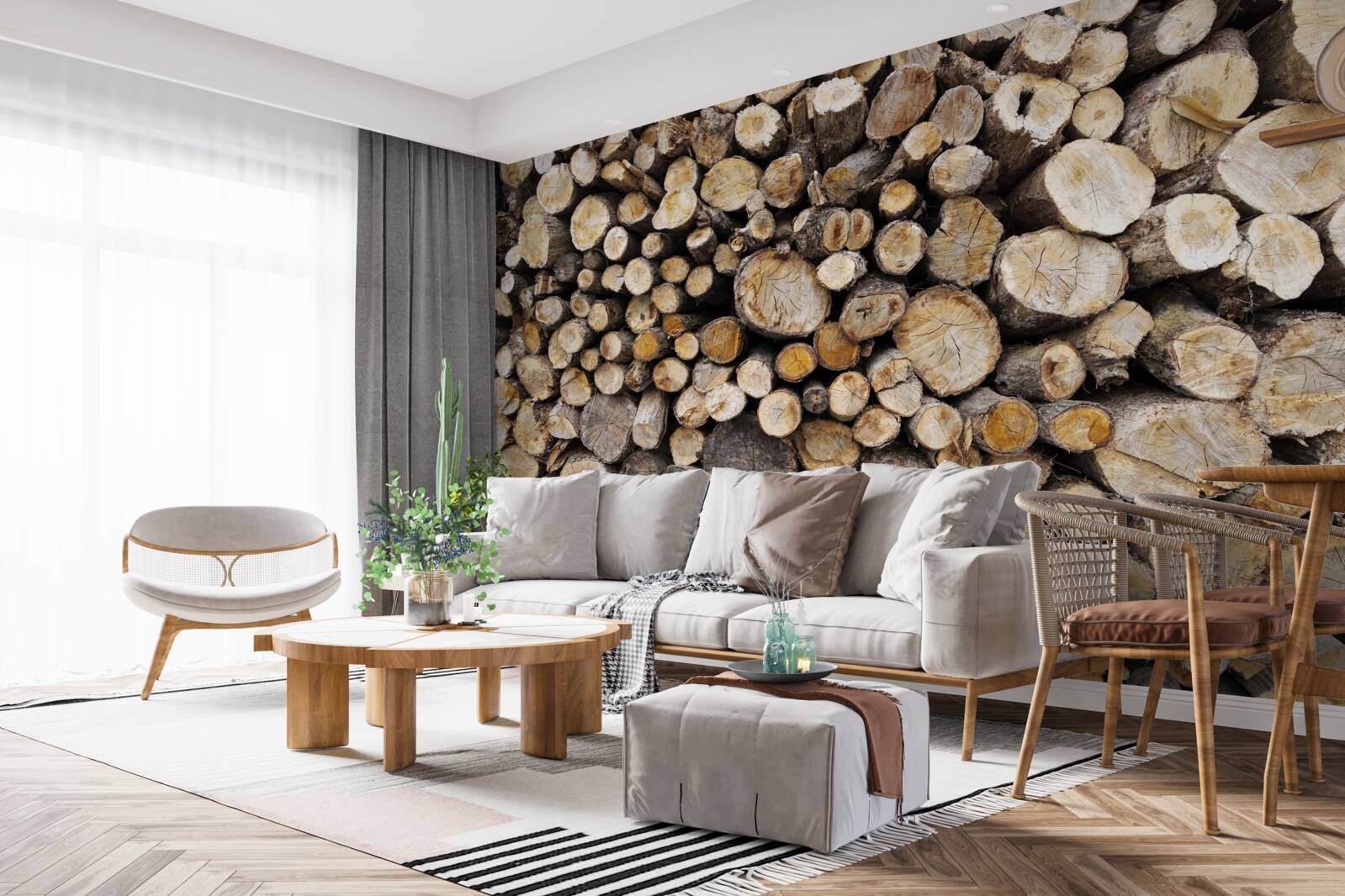 Fototapeta wyciętych drzew jest bardzo dużo