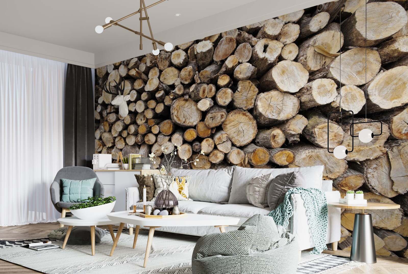 Fototapeta wyciętych drzew jest bardzo dużo