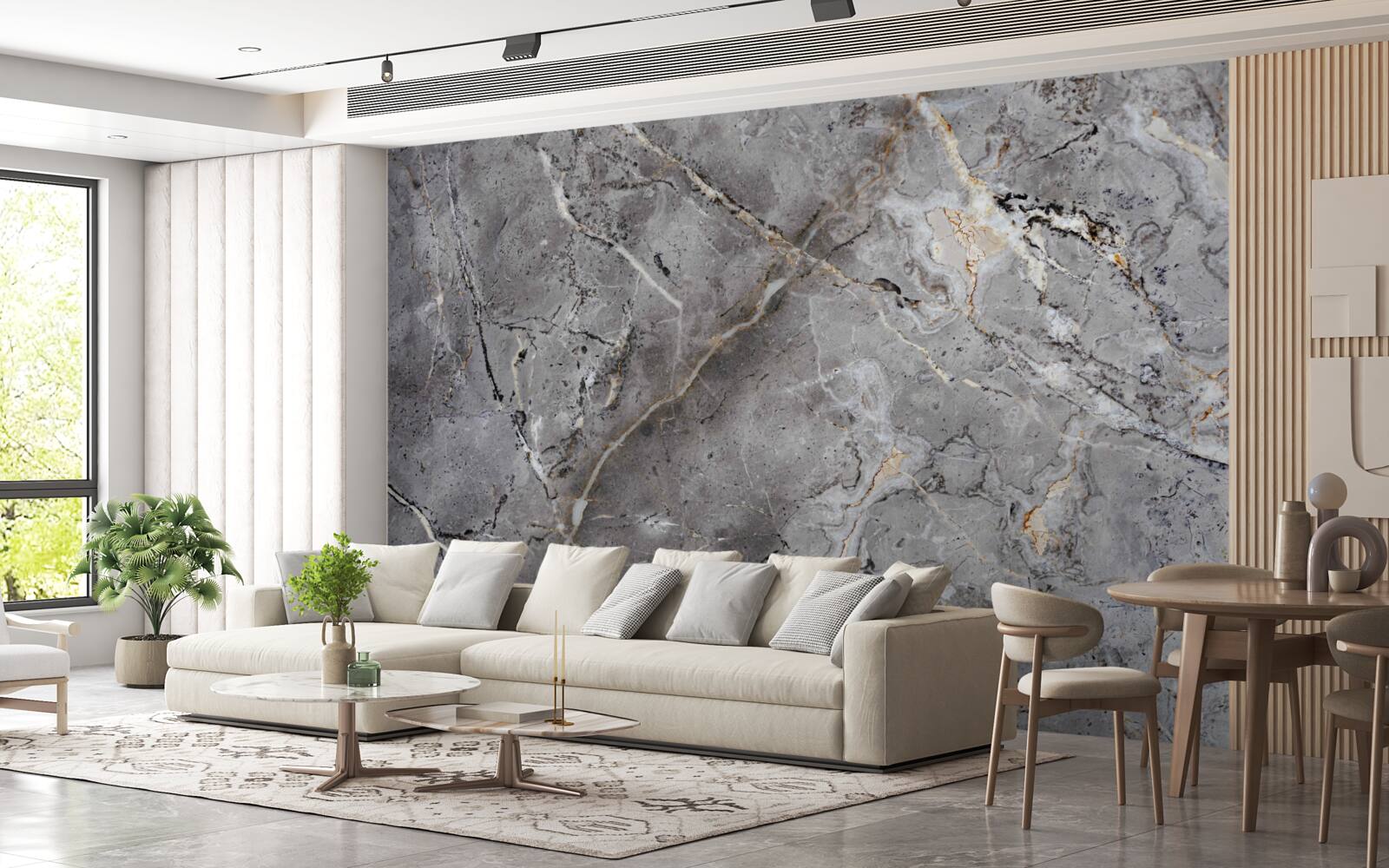 Fototapeta szary marmur szorstka tekstura