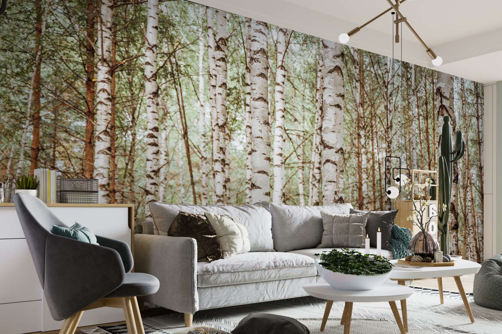 Fototapeta brzozy sledryny stoją w zielonym lesie