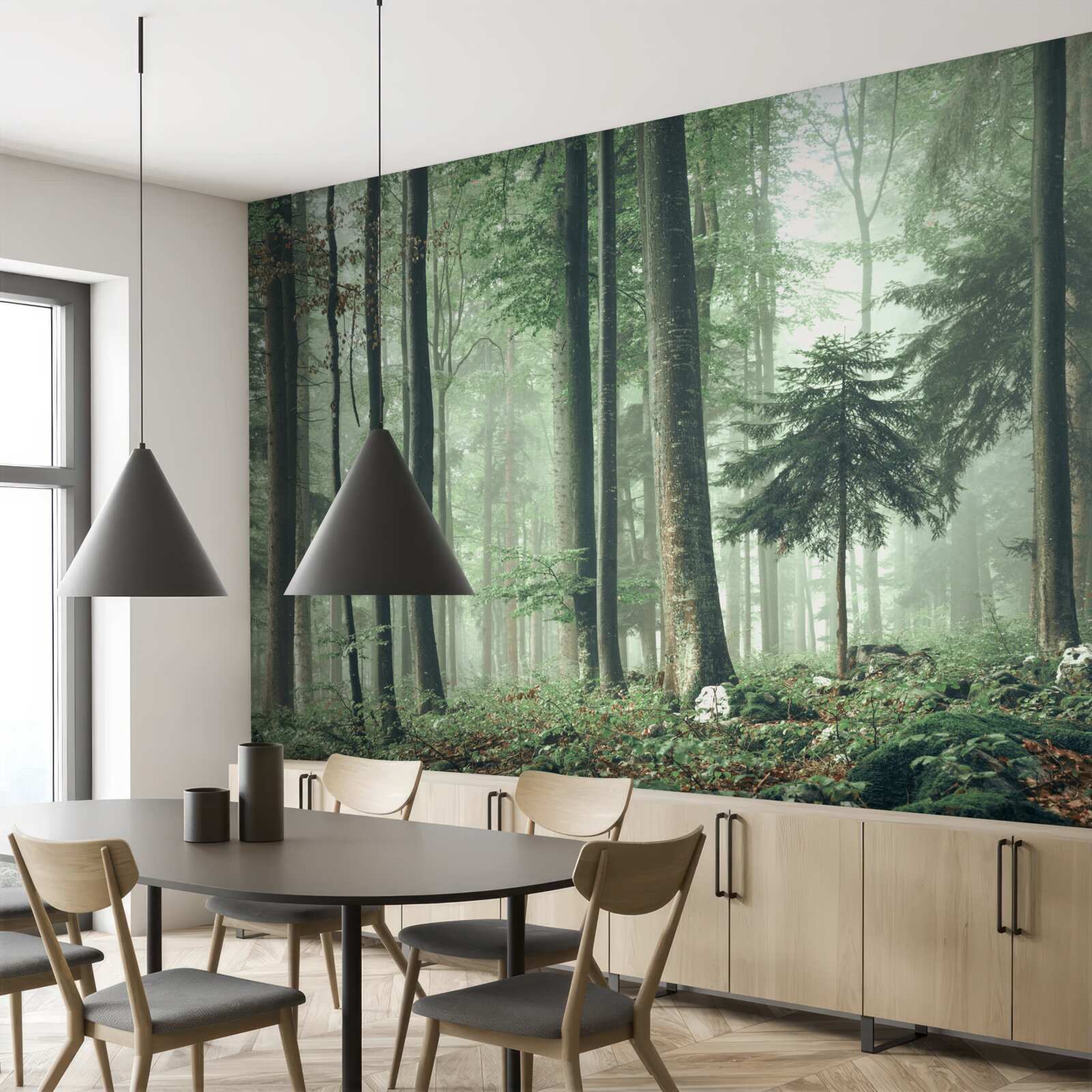 Fototapeta Światło przez mgłę w lesie drzew liściastych