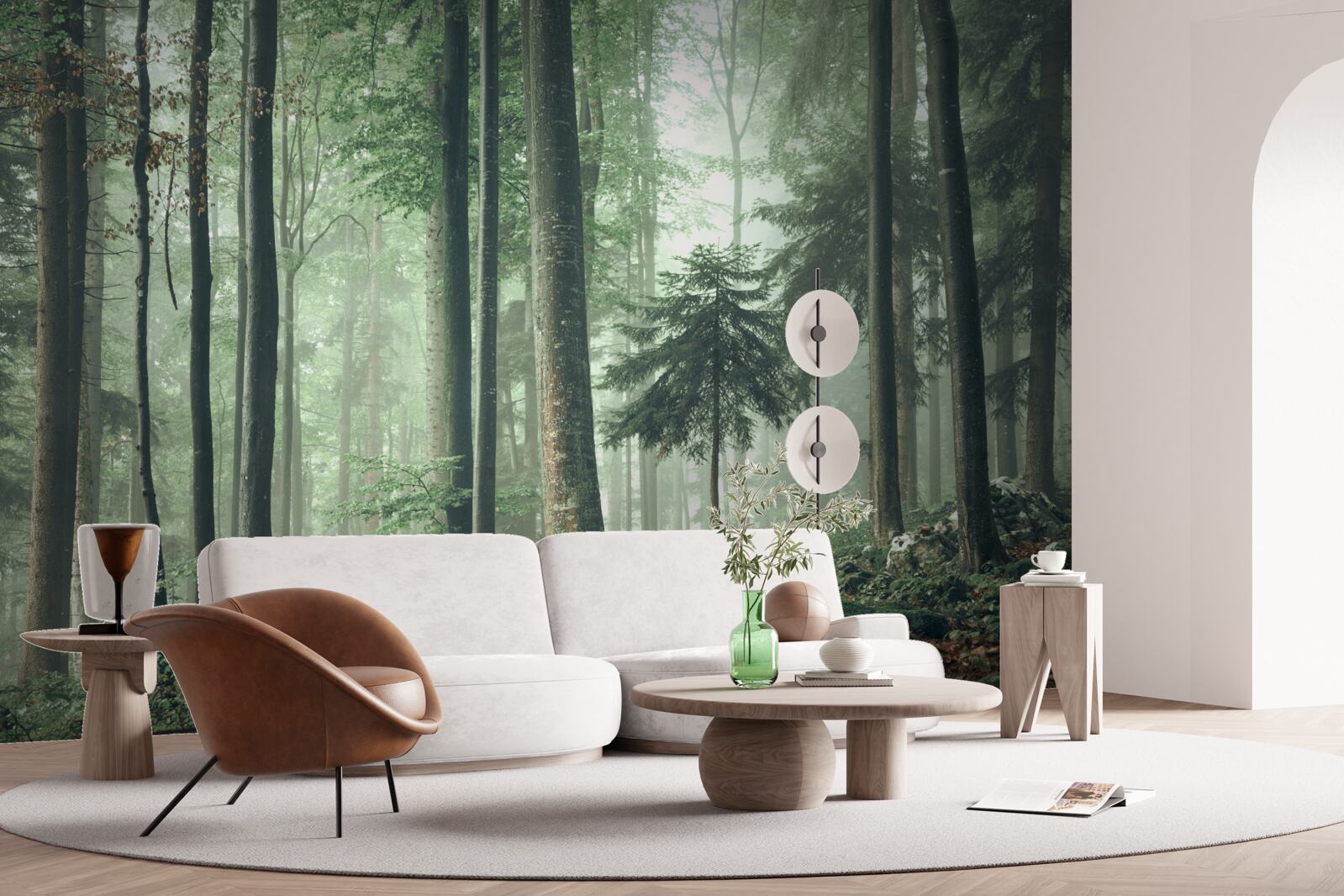 Fototapeta Światło przez mgłę w lesie drzew liściastych