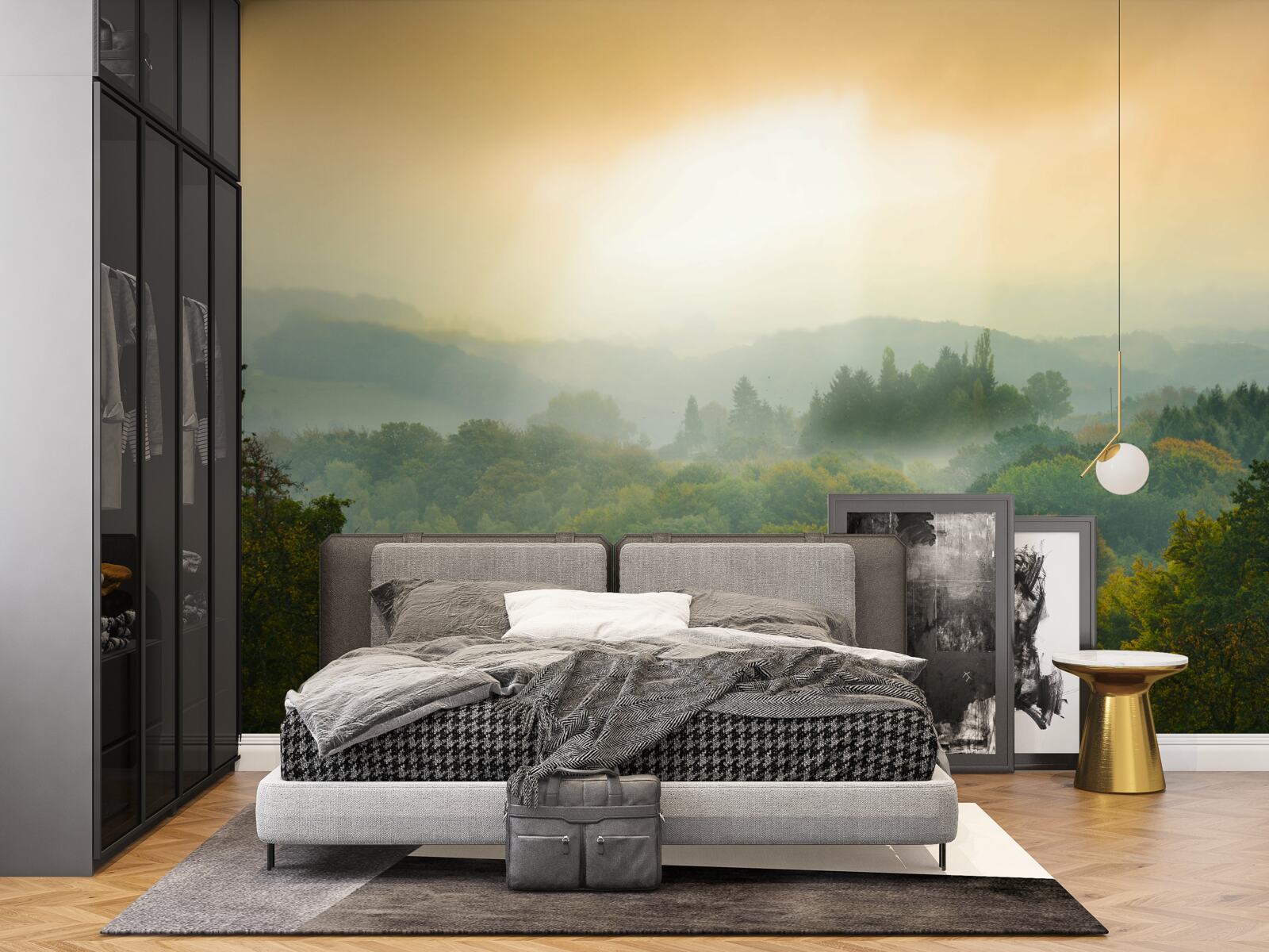 Fototapeta Świt wschodzi nad zadymionym lasem