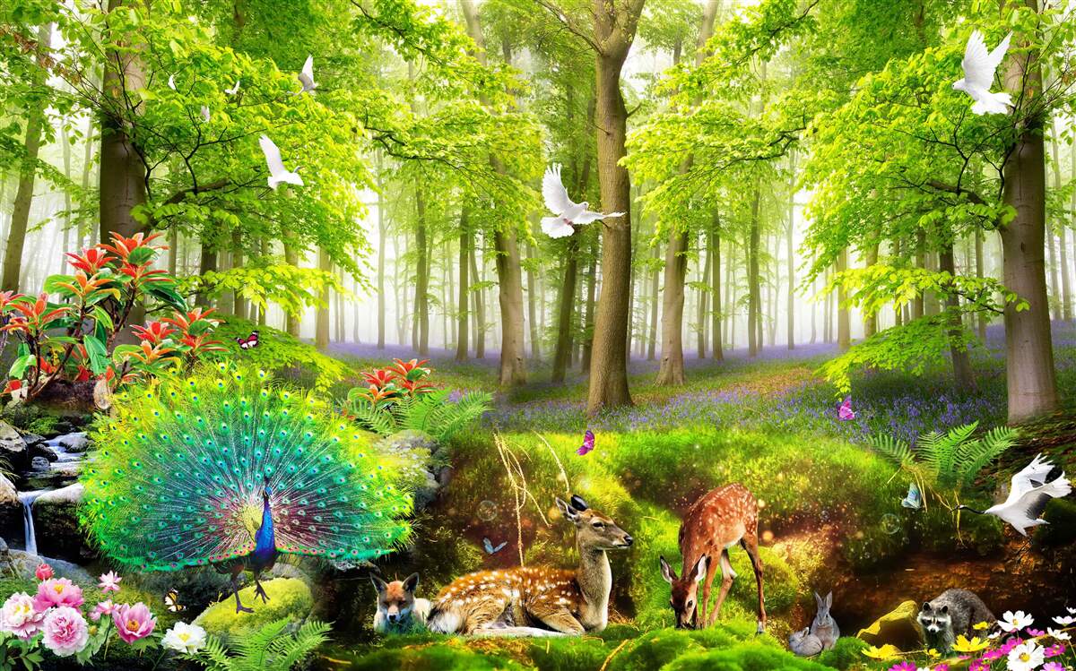 Fototapeta fauna zielonych lasów letnich