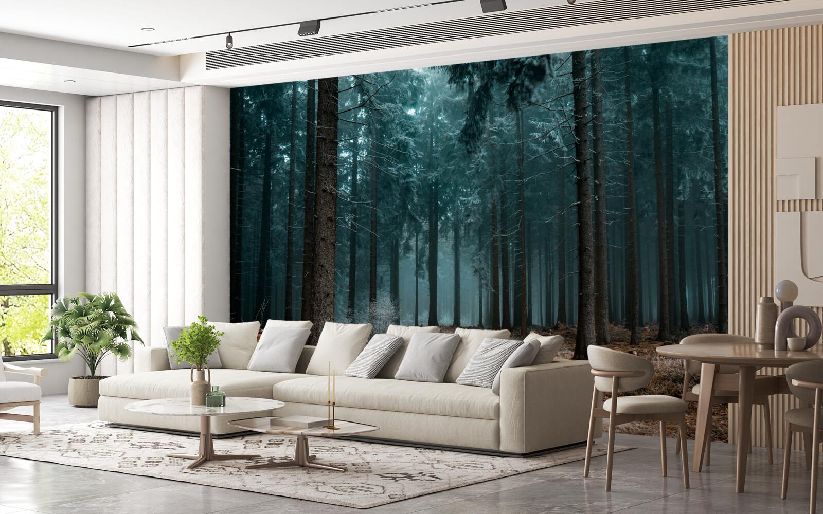 Fototapeta cenny szlak do gęstego mglistego lasu