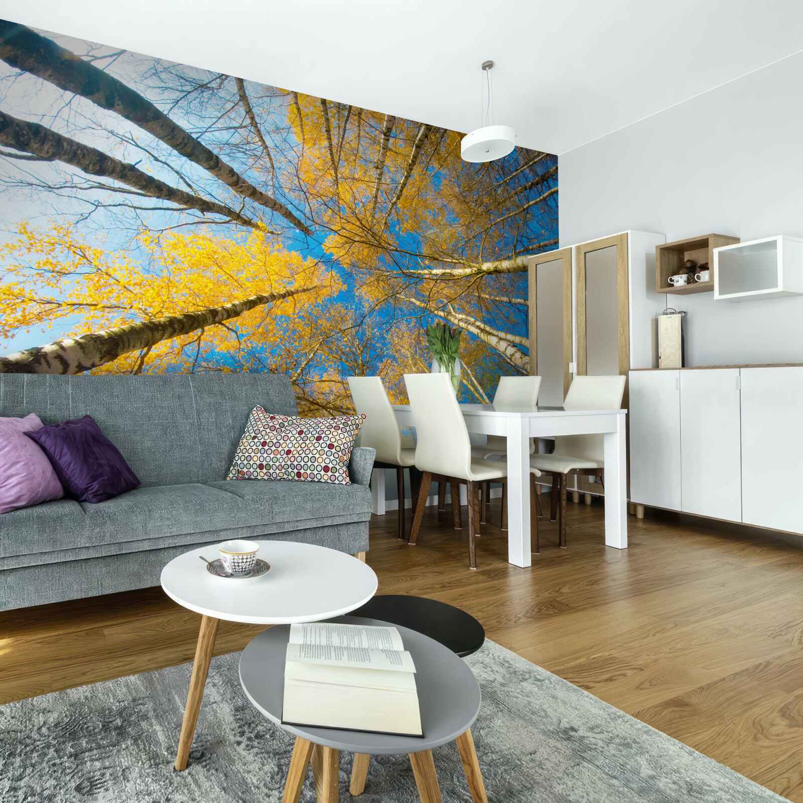 Fototapeta wierzchołki wysokich drzew pomalowane są na żółto