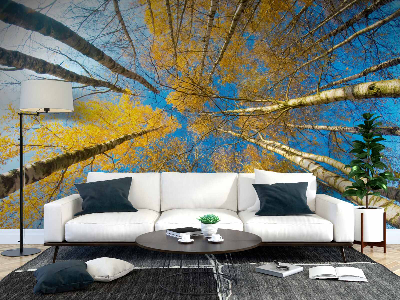 Fototapeta wierzchołki wysokich drzew pomalowane są na żółto