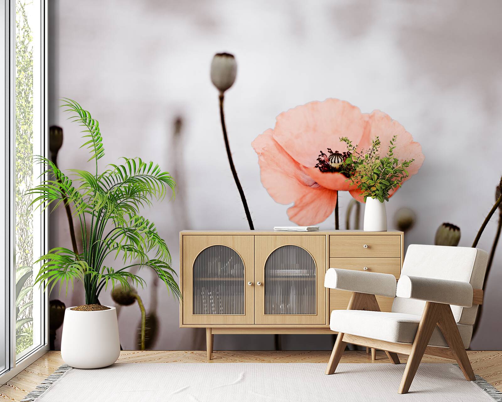 Fototapeta samotny mak otwierający się w całej swej różowej okazałości