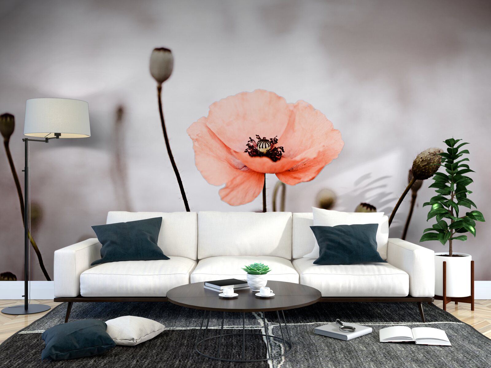 Fototapeta samotny mak otwierający się w całej swej różowej okazałości