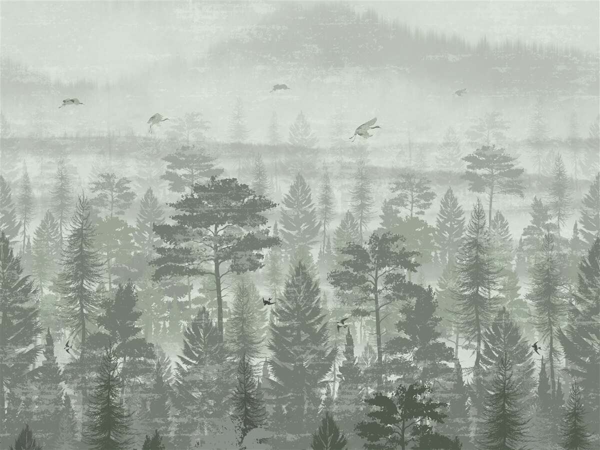 Fototapeta las deszczowy w okresach intensywnych opadów