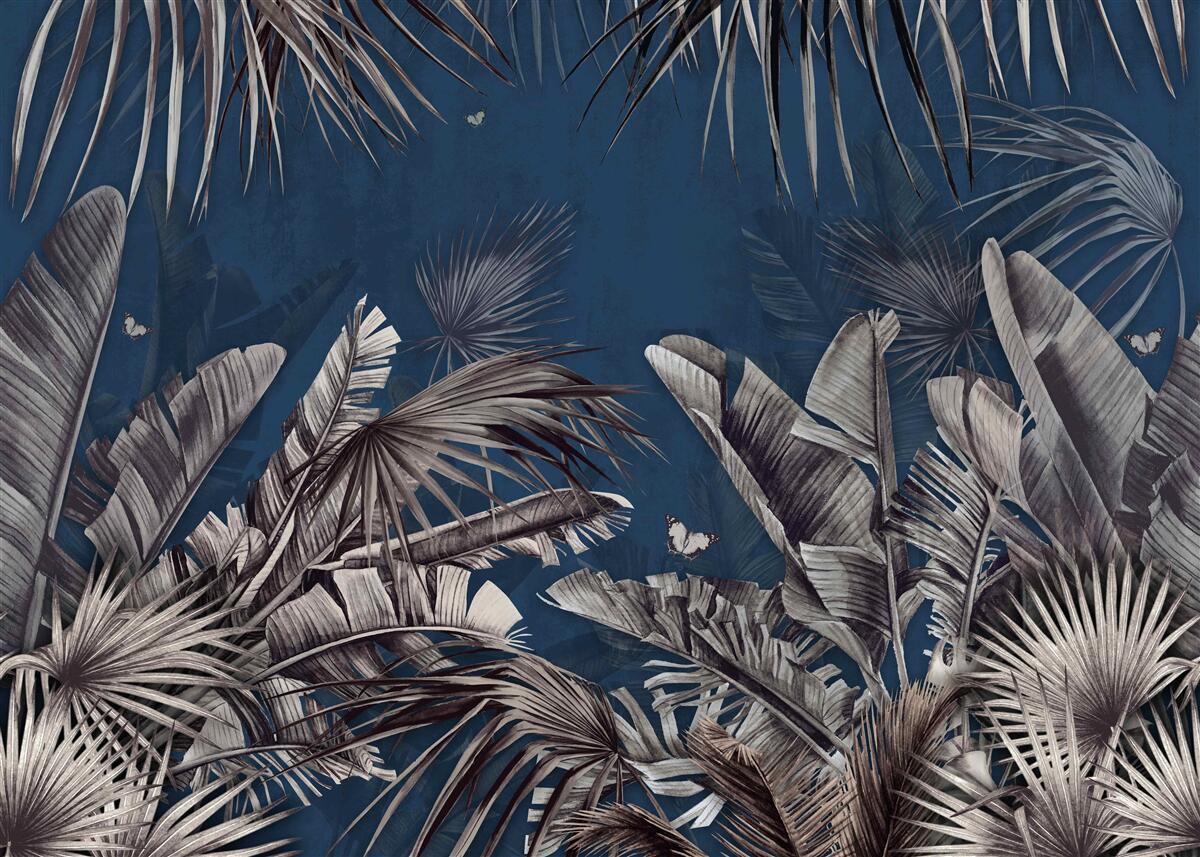 Fototapeta noc zapada na paproć