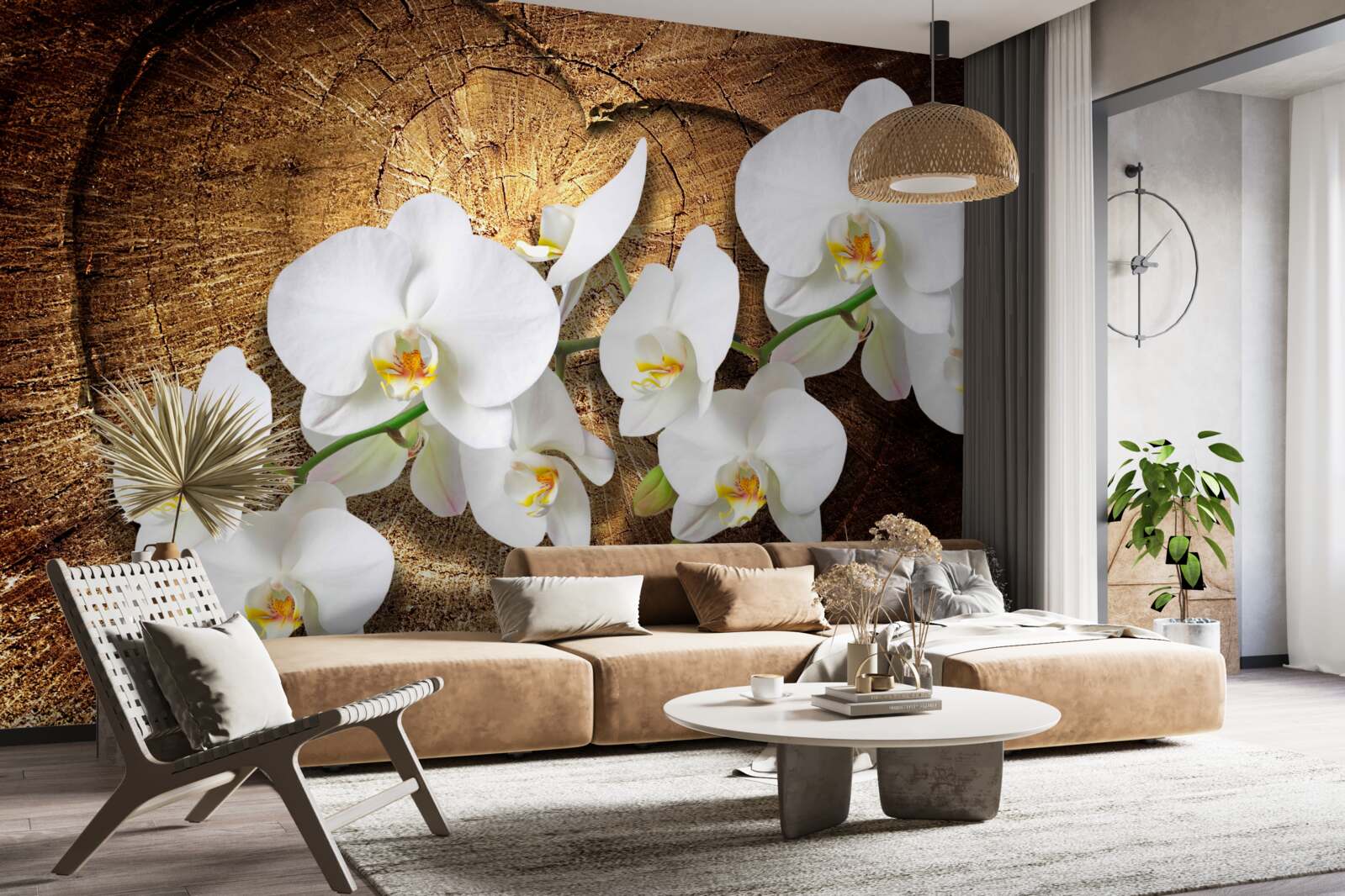 Fototapeta Śnieżnobiała orchidea na pociętym pniu drzewa