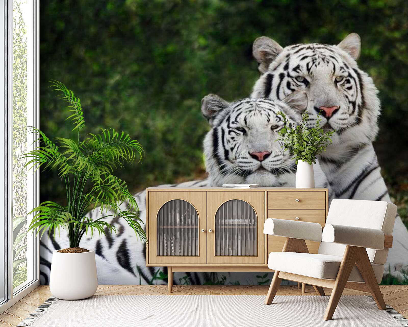 Fototapeta w lesie żyją dwa białe tygrysy, poślubione