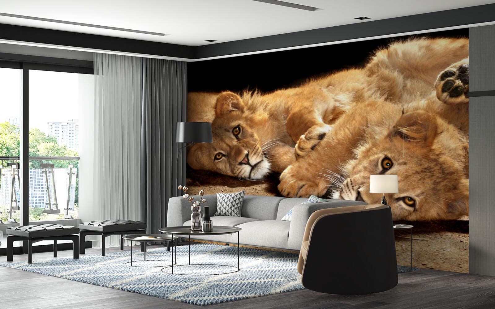 Fototapeta młode lwy bawią się na ziemi