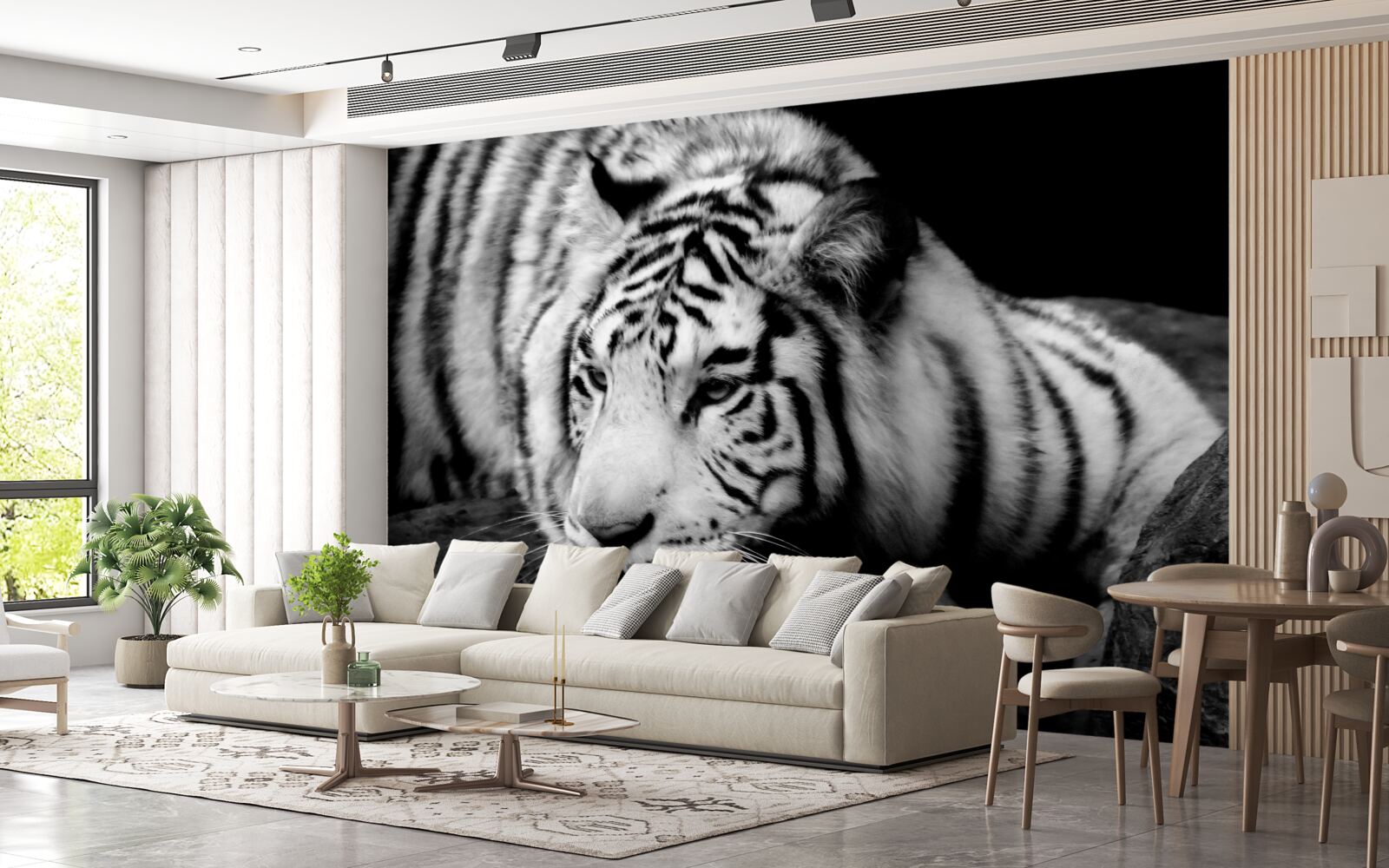 Fototapeta uroczy czarno-biały tygrys