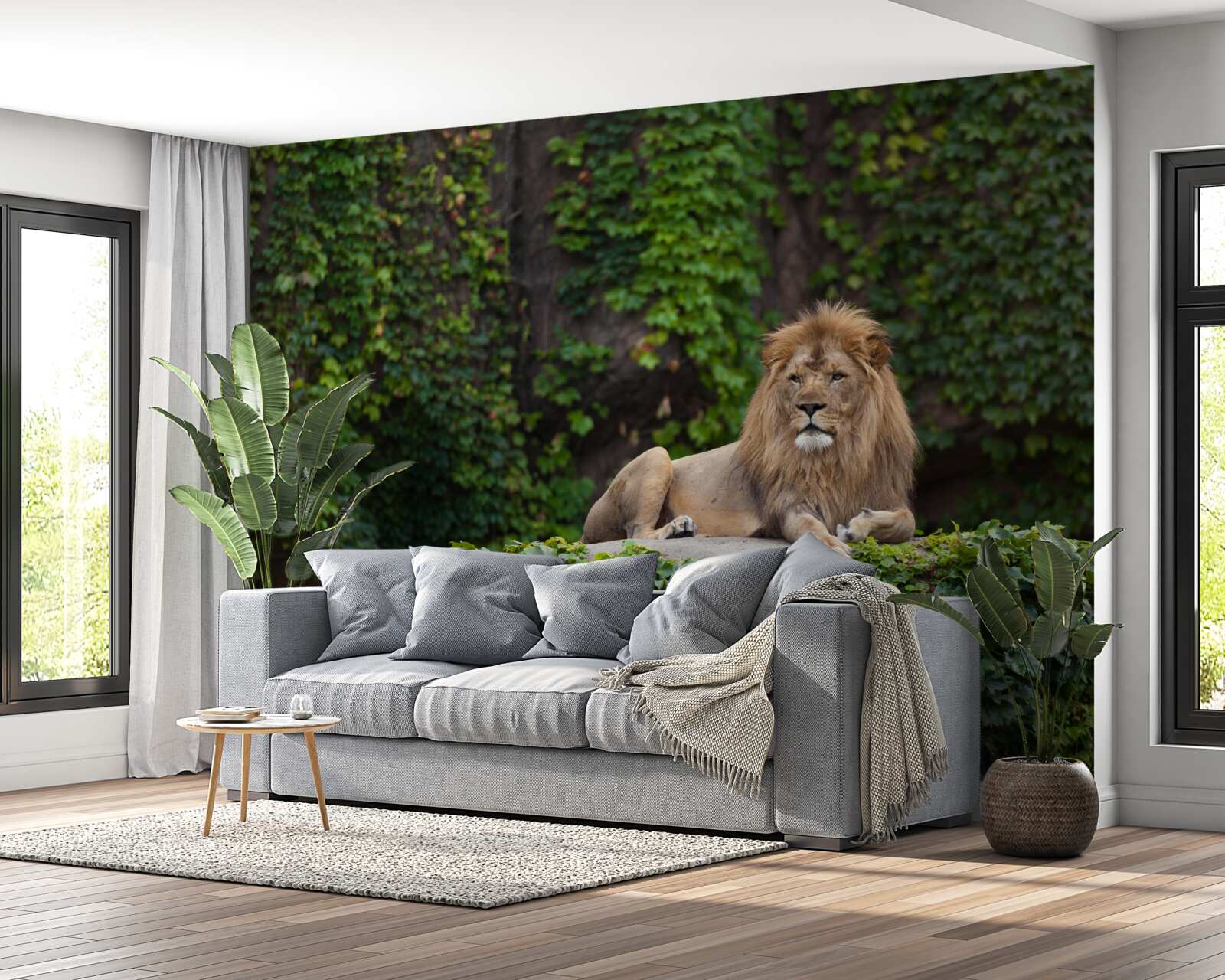 Fototapeta majestatyczny lew odpoczywa na pokrytym mchem kamieniu