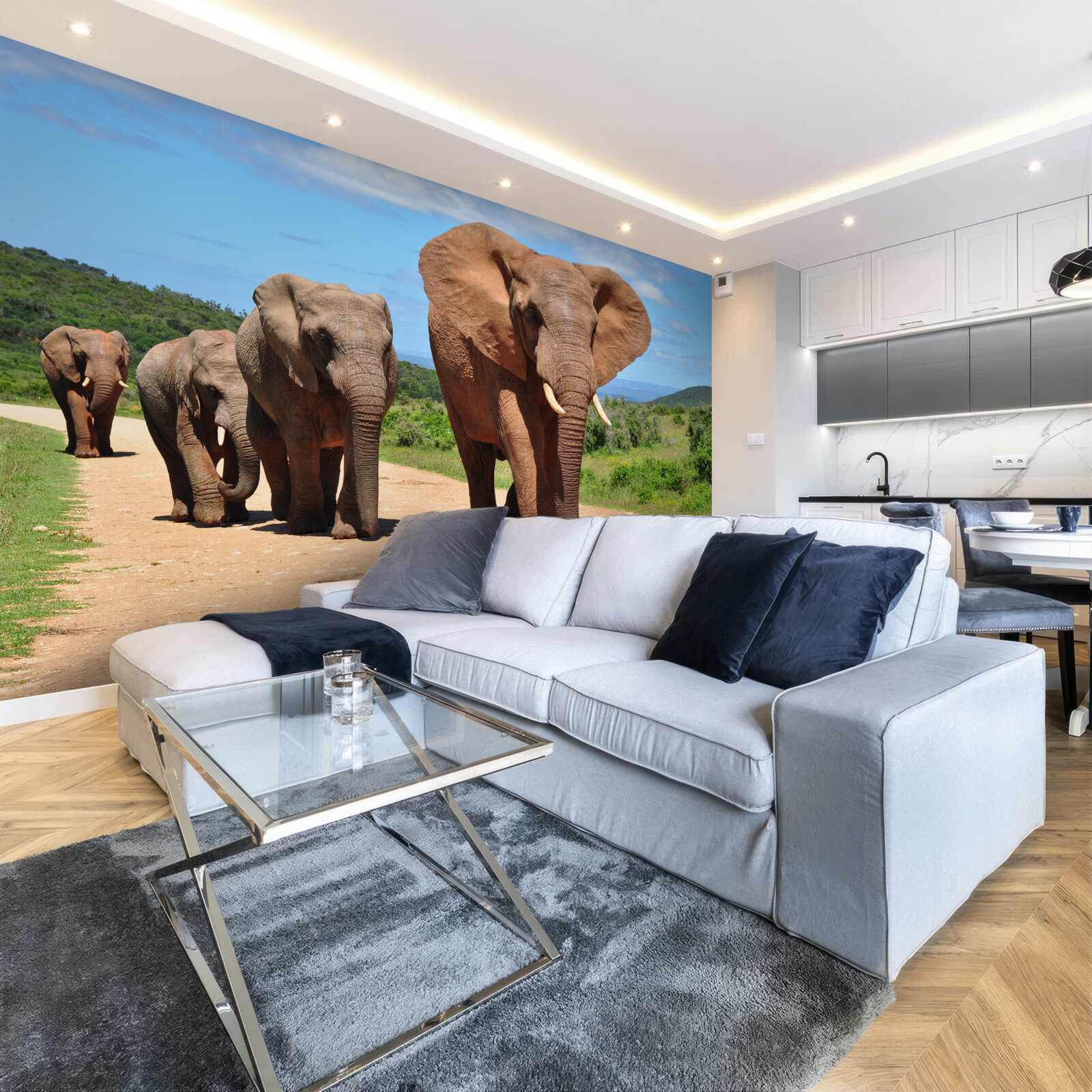 Fototapeta grupa słoni wraca do domu przez piaszczysty teren