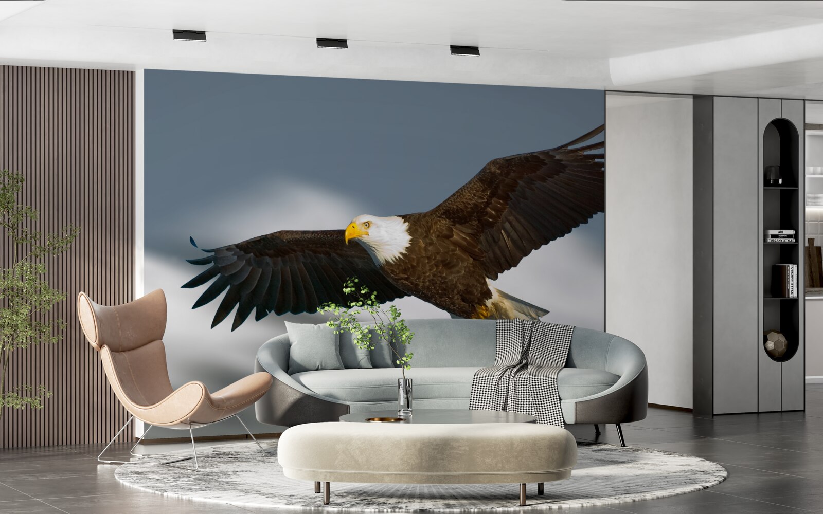 Fototapeta na niebie szybuje orzeł białogłowy