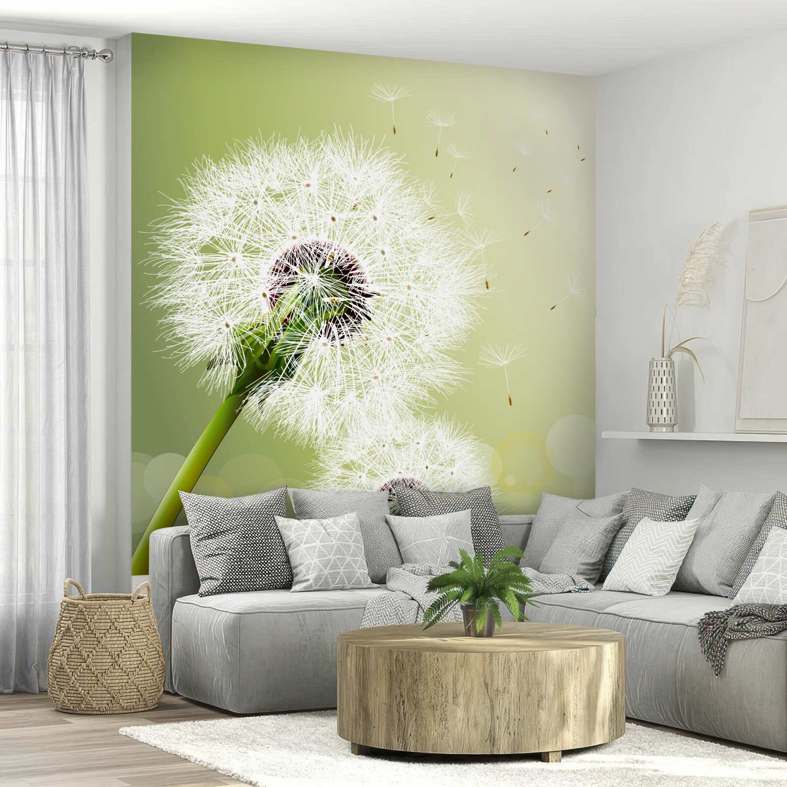 Fototapeta biały mniszek lekarski latający w powietrzu