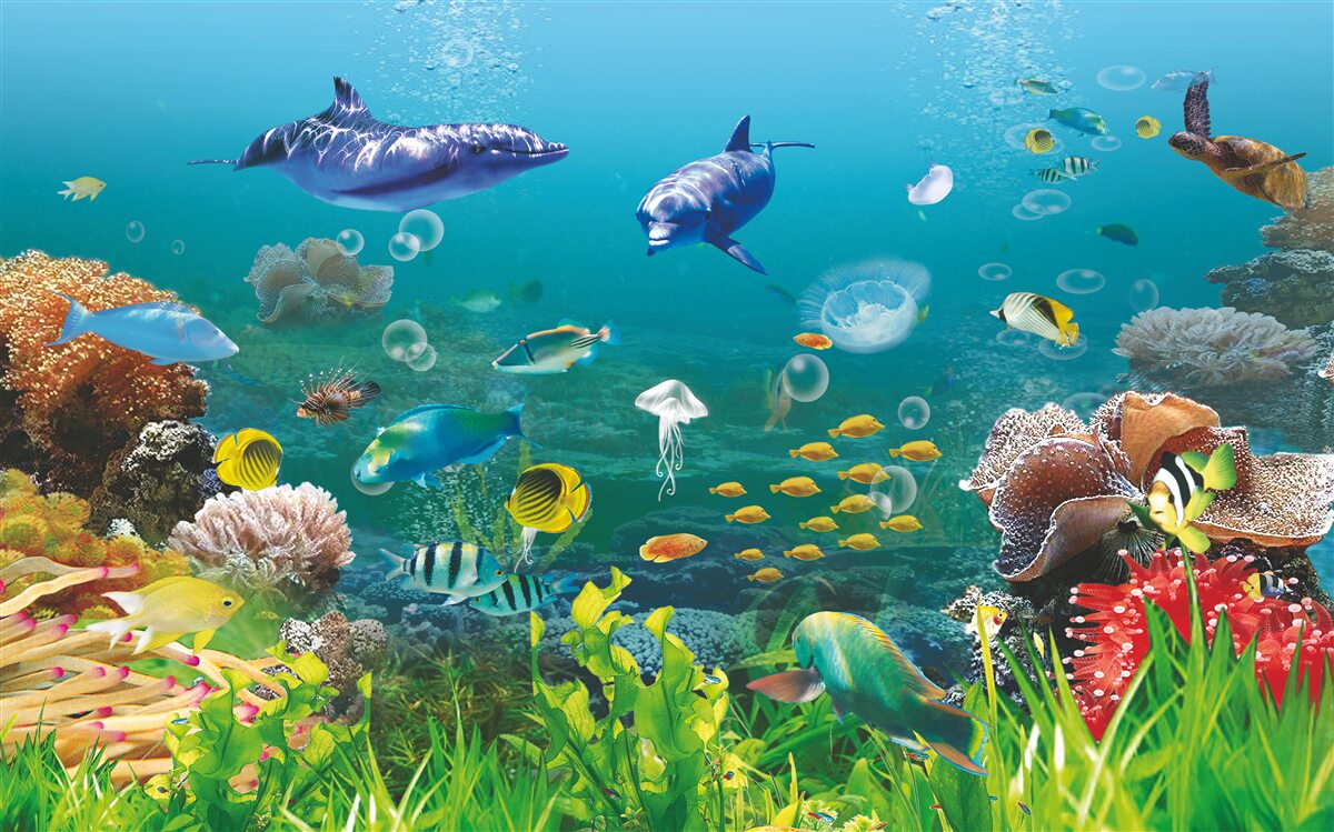 Fototapeta mieszkańcy morza na zielonkawym dnie