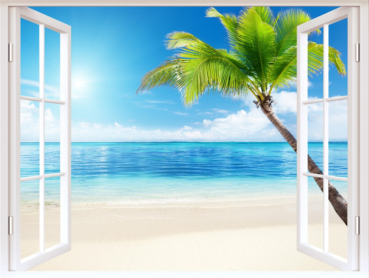 Fototapeta za oknem egzotyczna tropikalna rozkosz