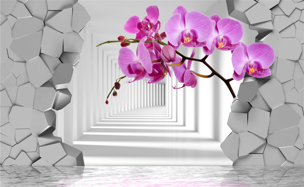 Fototapeta orchidea penetruje ścianę swoją gałęzią