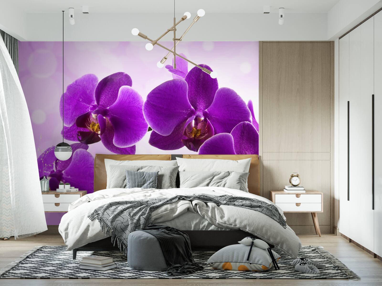 Fototapeta głęboko fioletowa orchidea