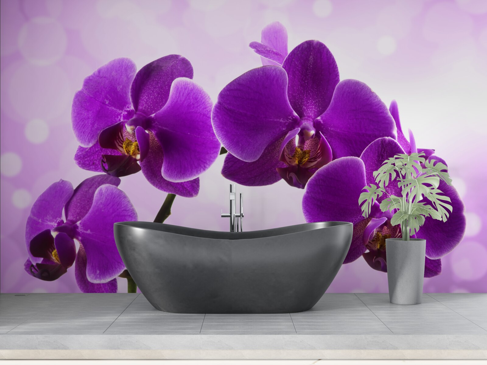 Fototapeta głęboko fioletowa orchidea