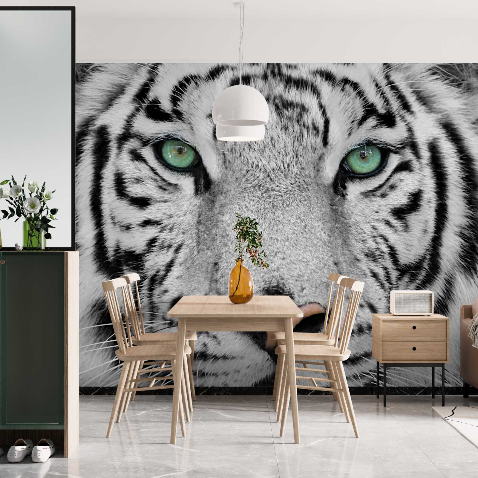 Fototapeta wspaniały biały tygrys