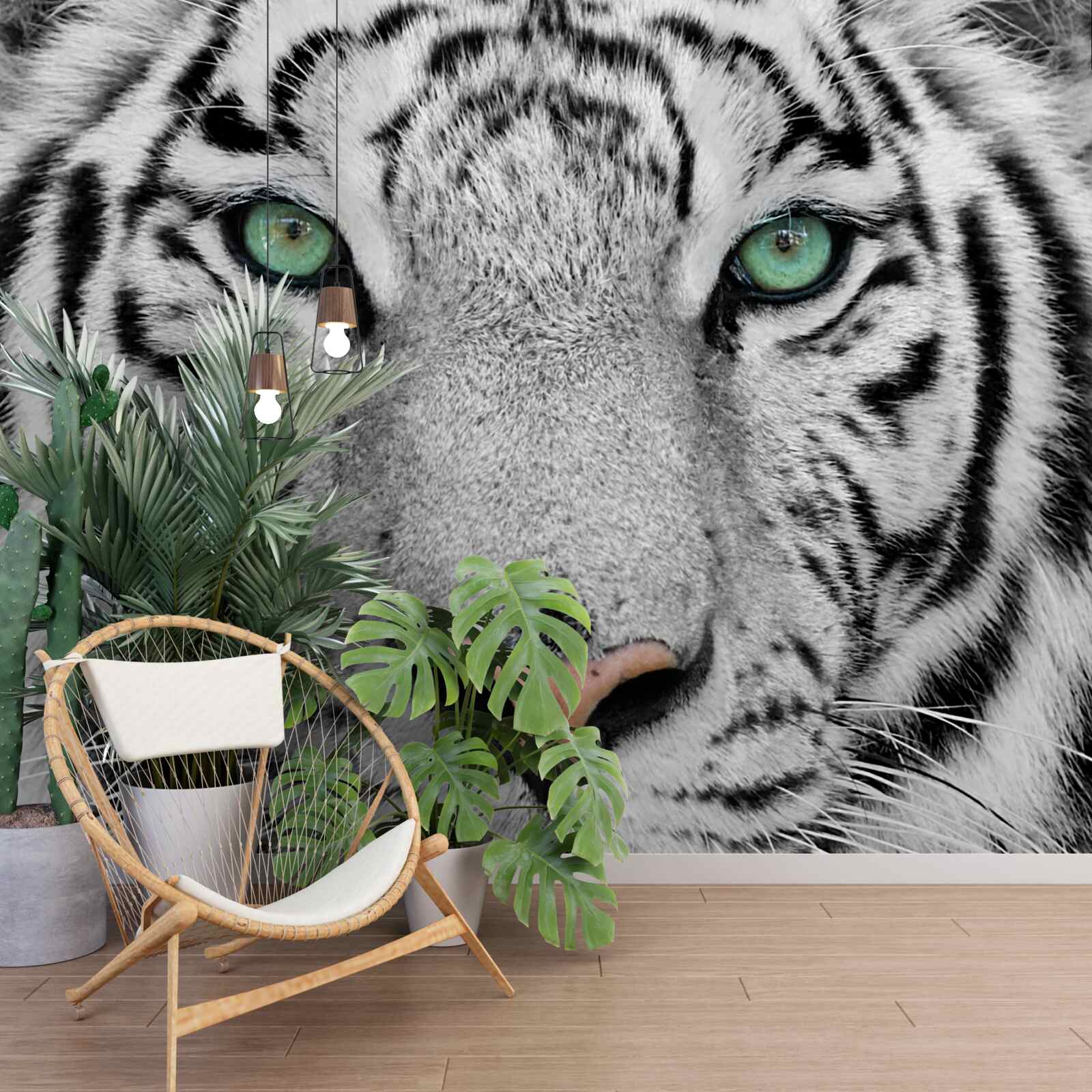 Fototapeta wspaniały biały tygrys