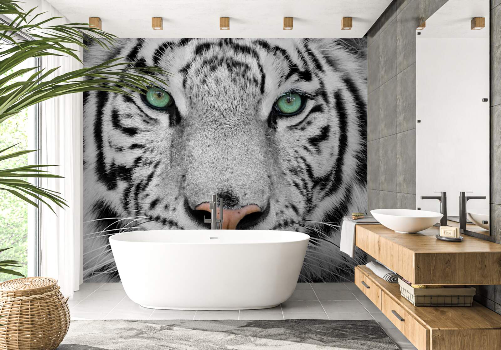 Fototapeta wspaniały biały tygrys