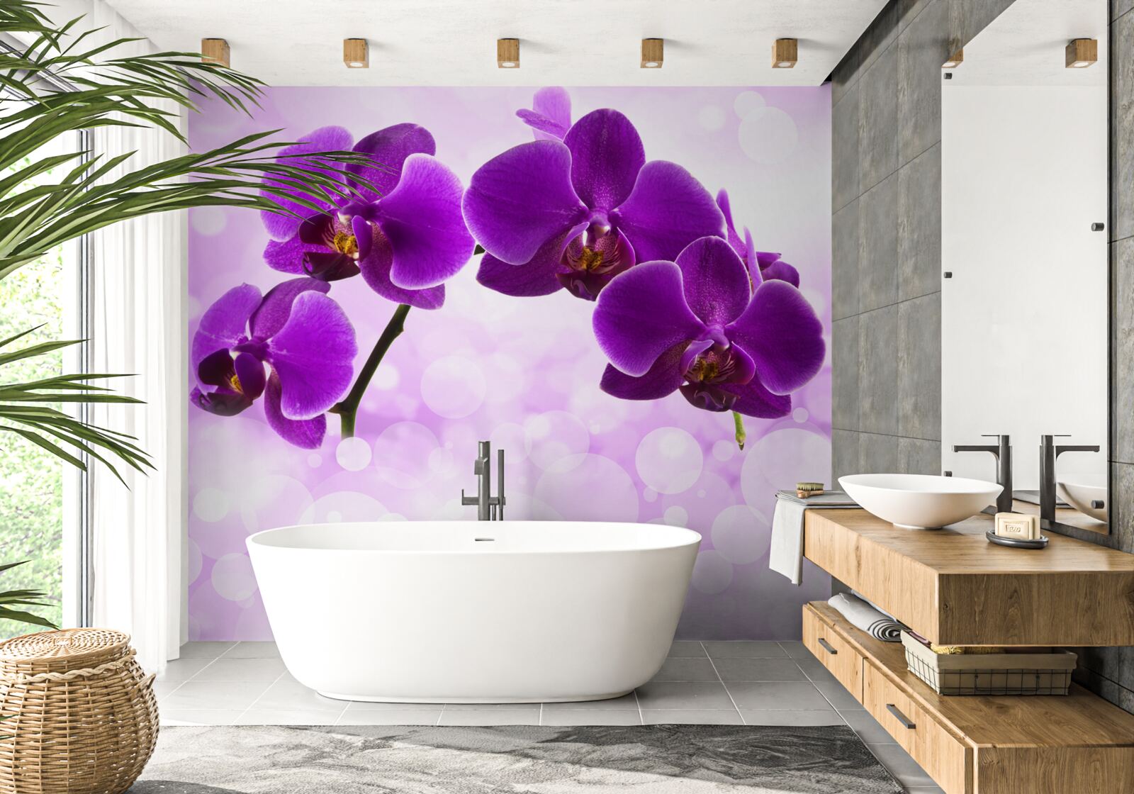Fototapeta orchidee z ciemnofioletowymi kwiatami