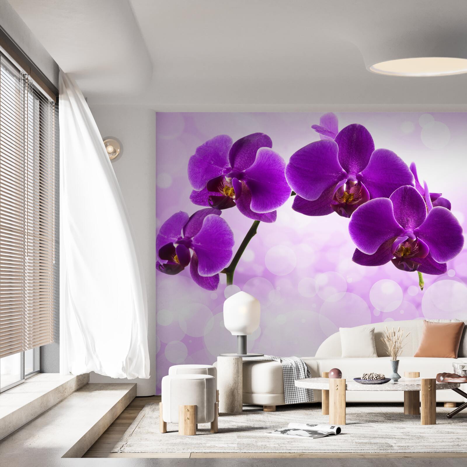 Fototapeta orchidee z ciemnofioletowymi kwiatami