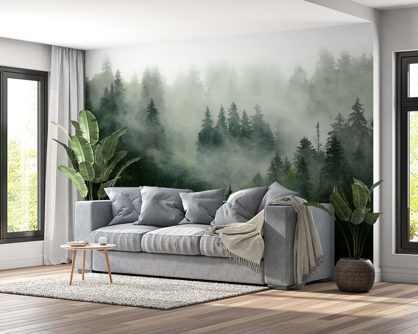 Fototapeta ciemność wśród świerków i sosn