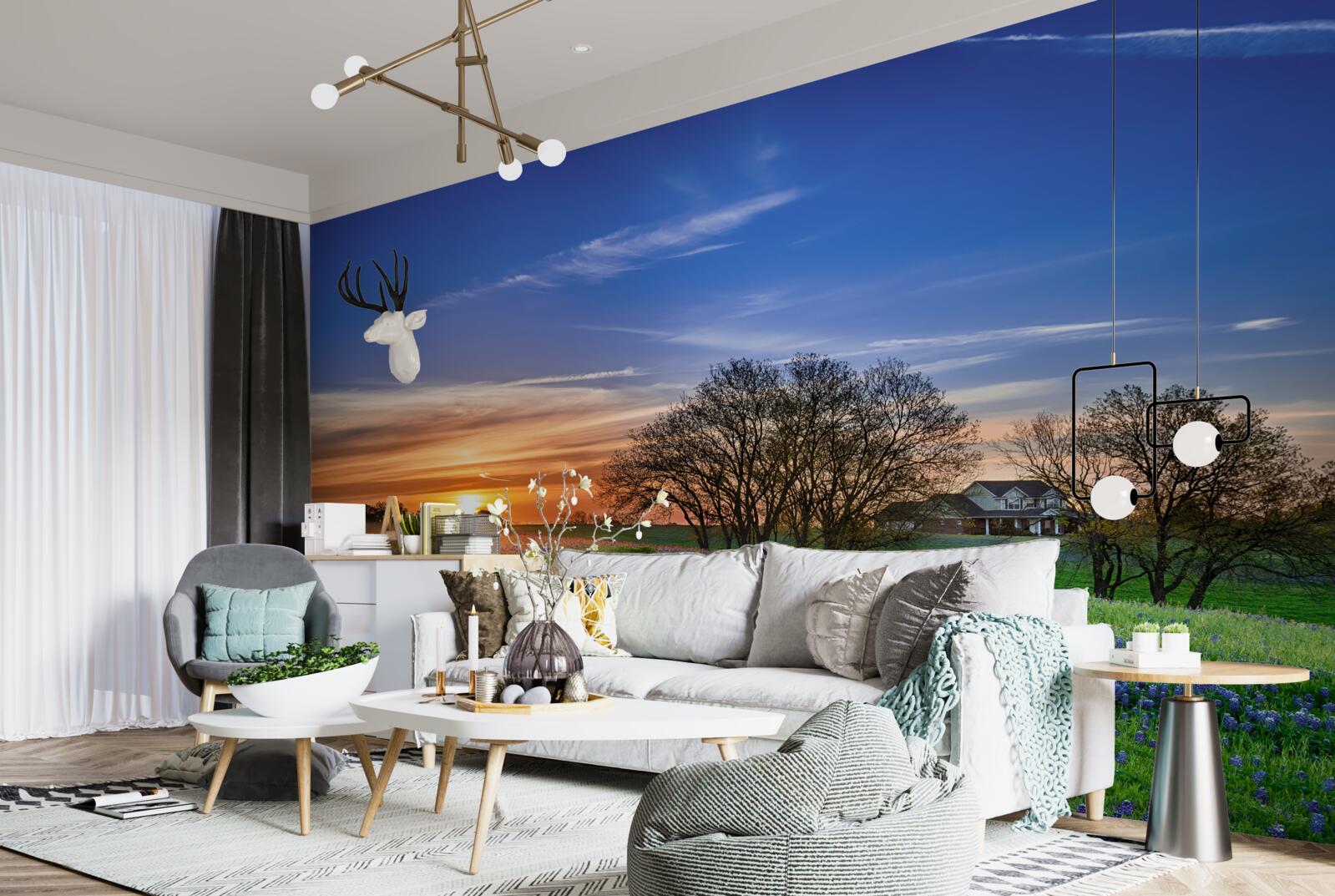 Fototapeta słońce zachodzi nad polem usianym kwiatami