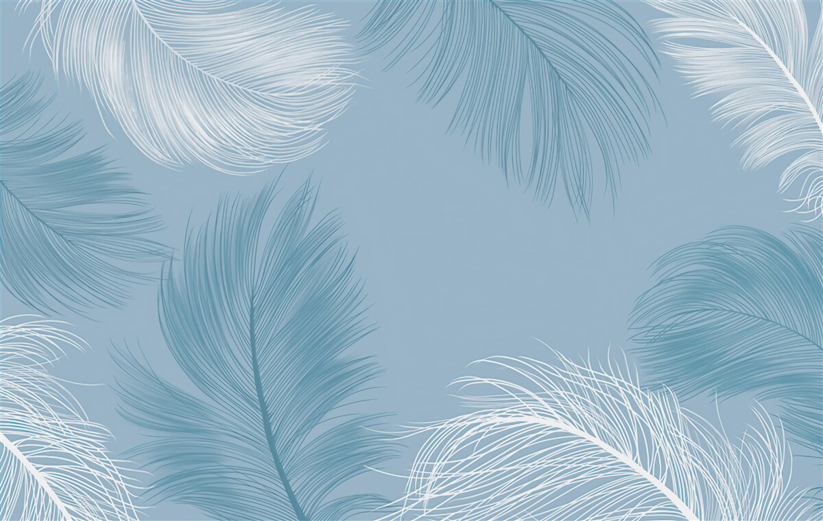 Fototapeta miękkie tło piór w kolorze nieba