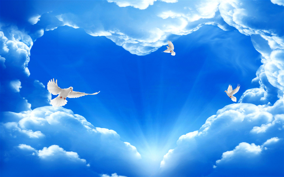 Fototapeta niebieskie ptaki wzlatują w przestrzeń nieba