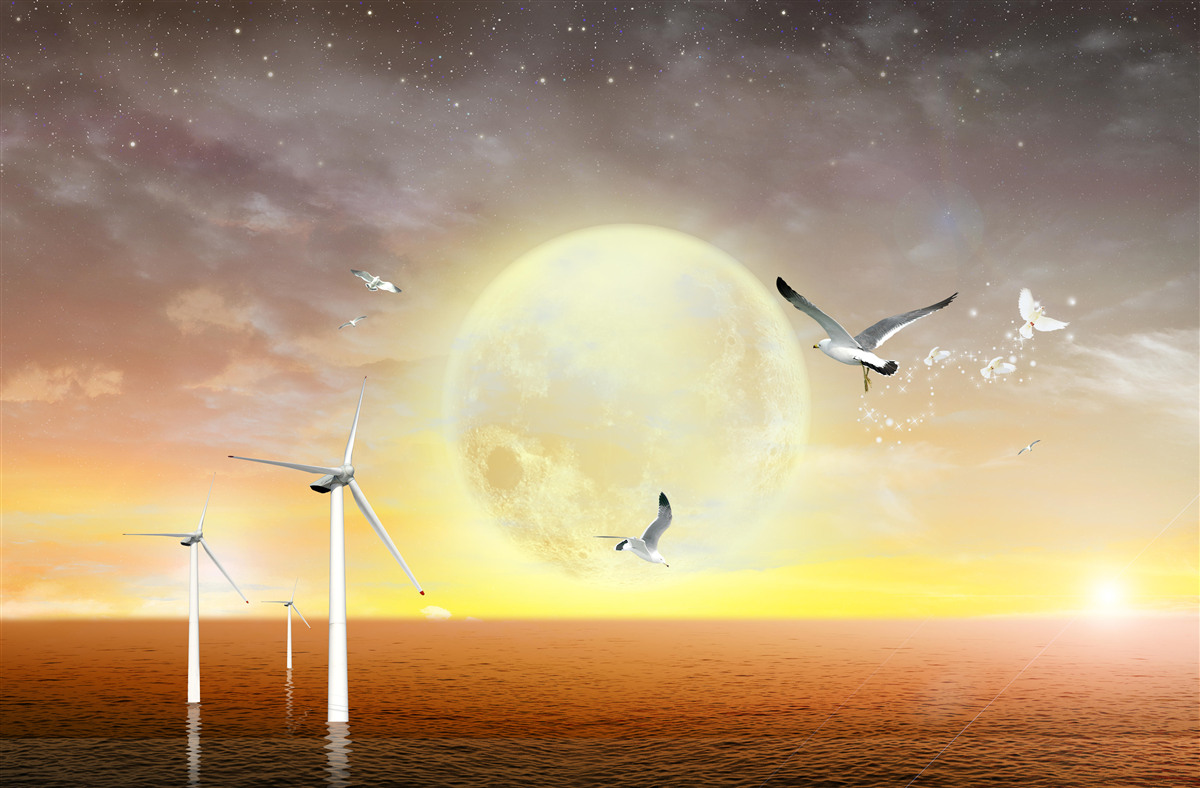 Fototapeta zachodowi słońca nad morzem towarzyszy krzyk mew