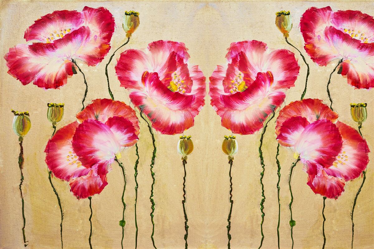 Fototapeta pąki i kwiaty maków w odcieniach czerwieni i bieli