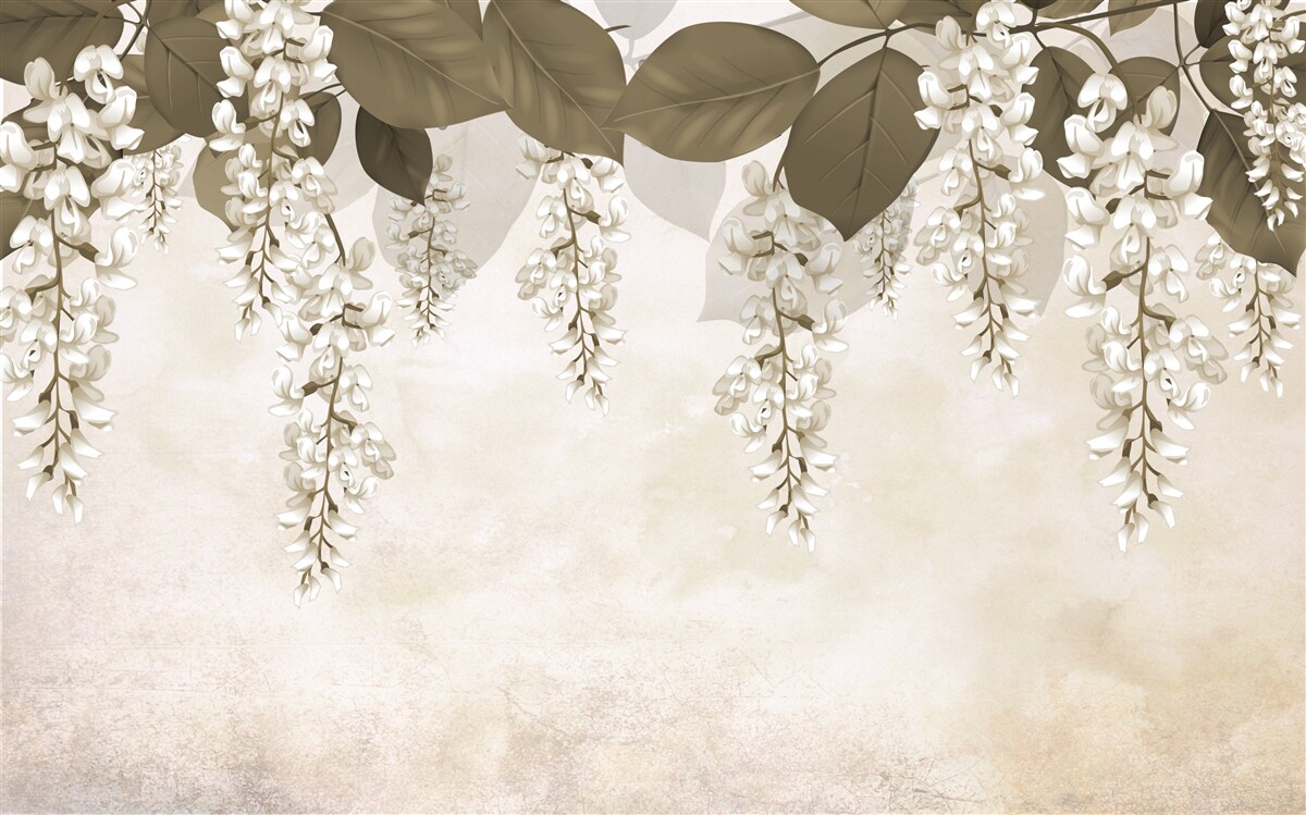 Fototapeta akacja z białymi kwiatami