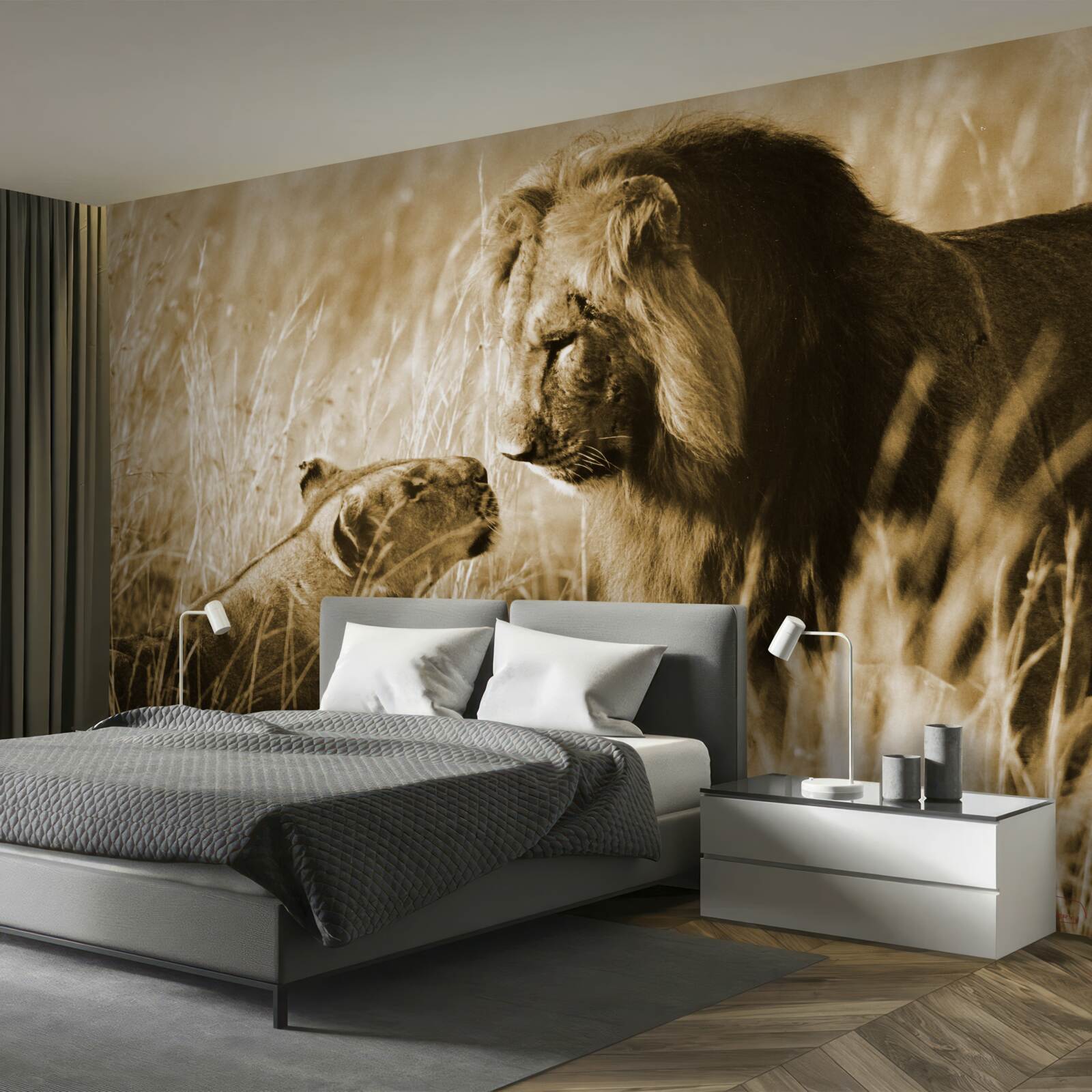 Fototapeta lew i lwica poznają się